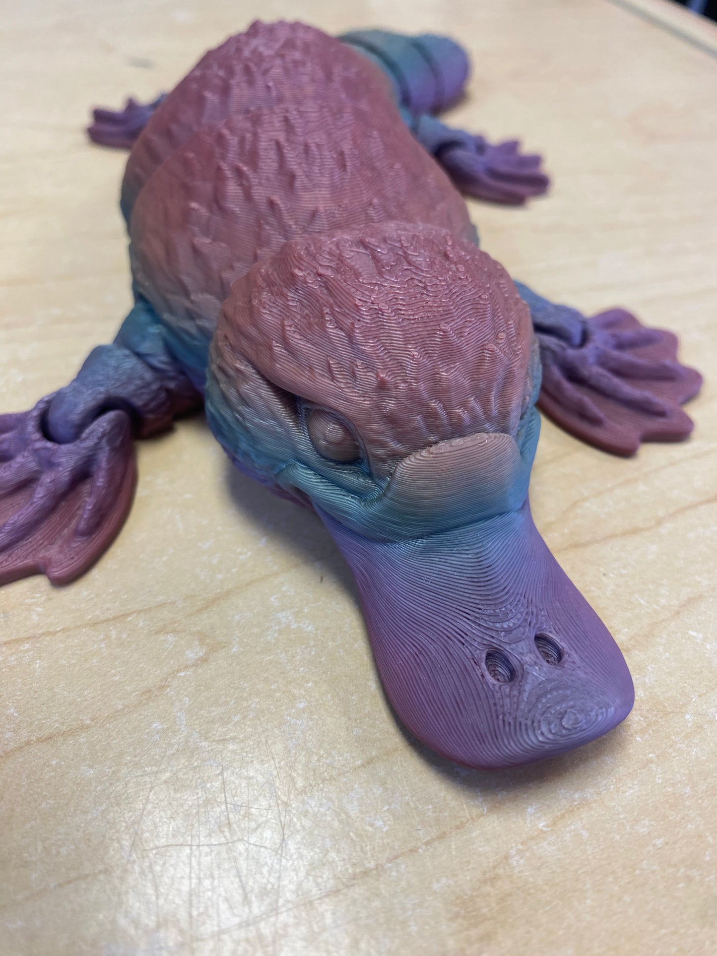 Multi Handmade 3D Printed Pet, Large